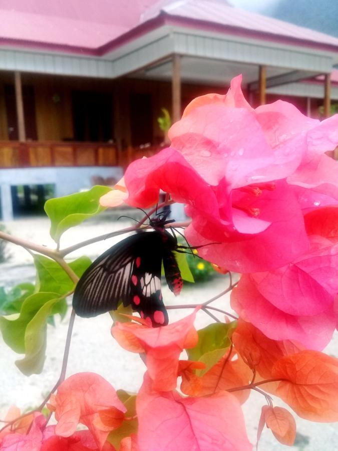 Nusa Nalan Beach Resort Rumah Olat Bagian luar foto